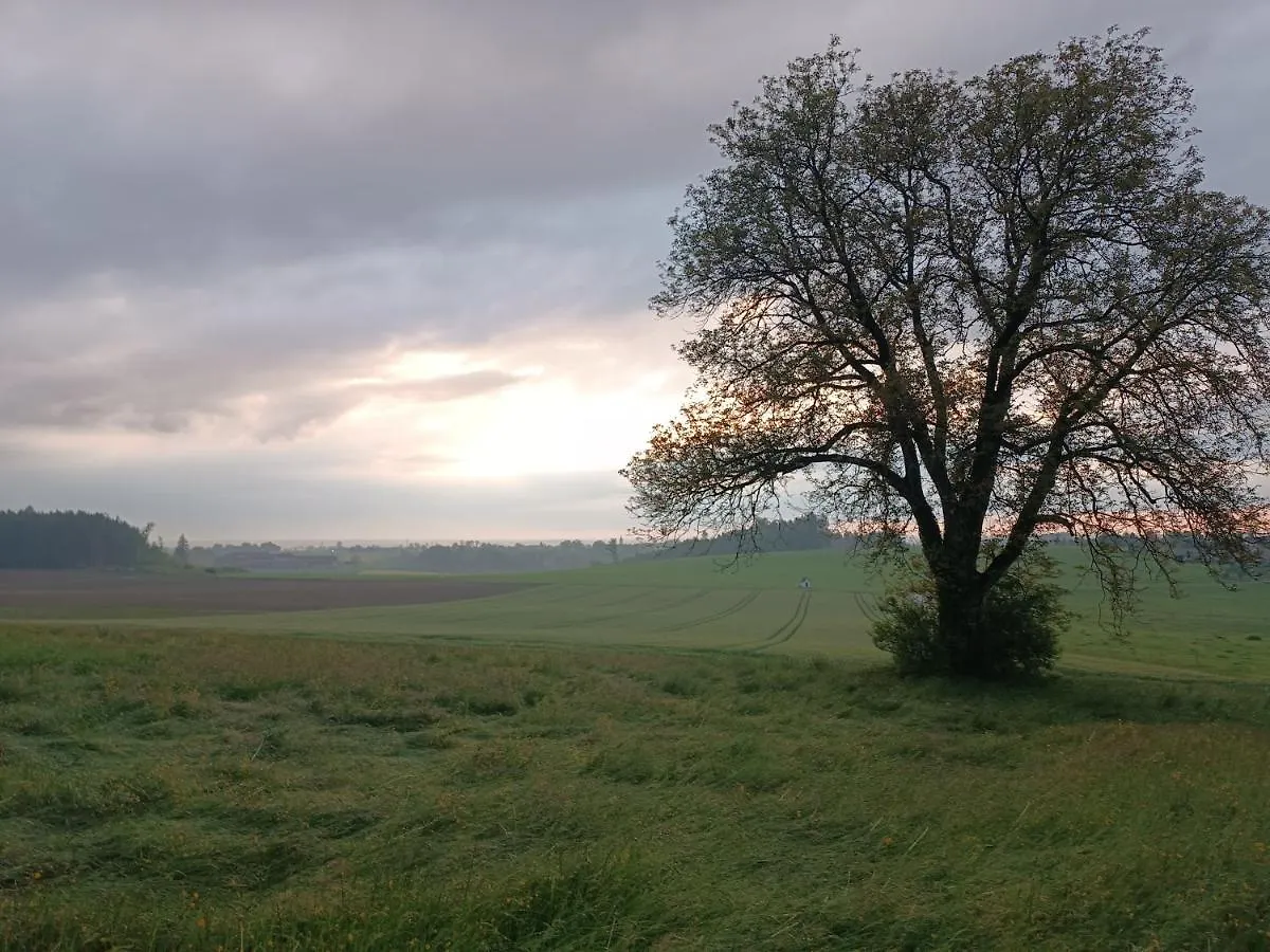 Bio Kindererlebnisbauernhof Voit Sochtenau Deutschland
