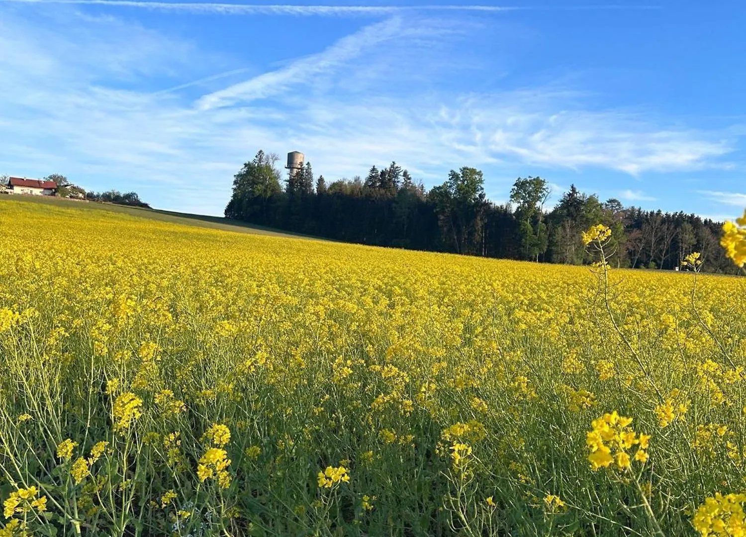 Bio Kinder Erlebnis Bauernhof Voit Sochtenau 0*,