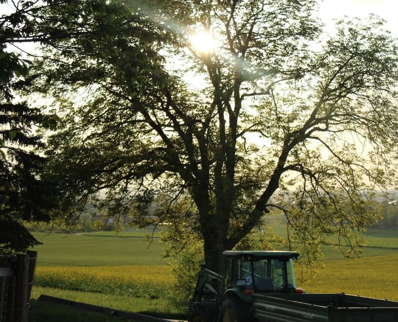 Bio Kinder Erlebnis Bauernhof Voit Sochtenau Country house