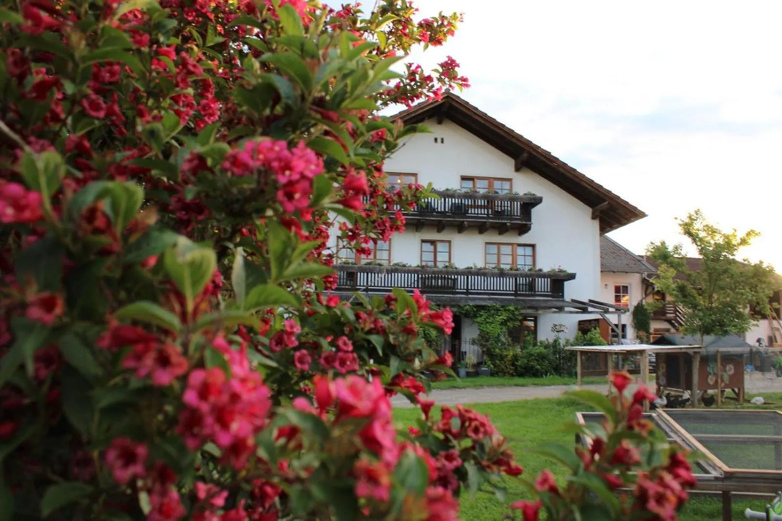 Country house Bio Kinder Erlebnis Bauernhof Voit Sochtenau