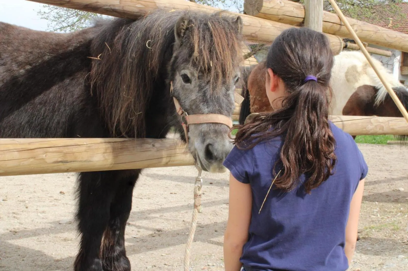Bio Kinder Erlebnis Bauernhof Voit Sochtenau